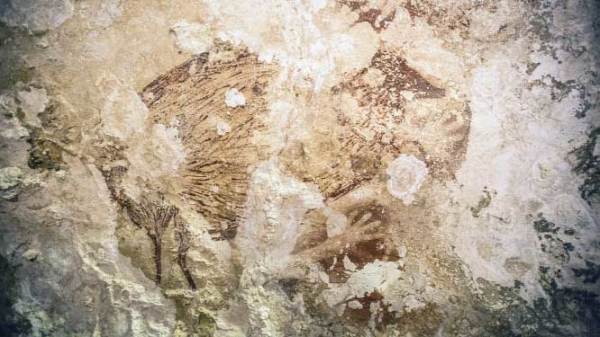 Barlangfestmények negyvenezer évvel korábbról