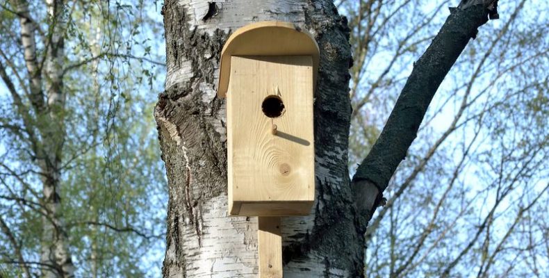 Madárlakópark-sétányt osztottak ki a debreceni Nagyerdőben